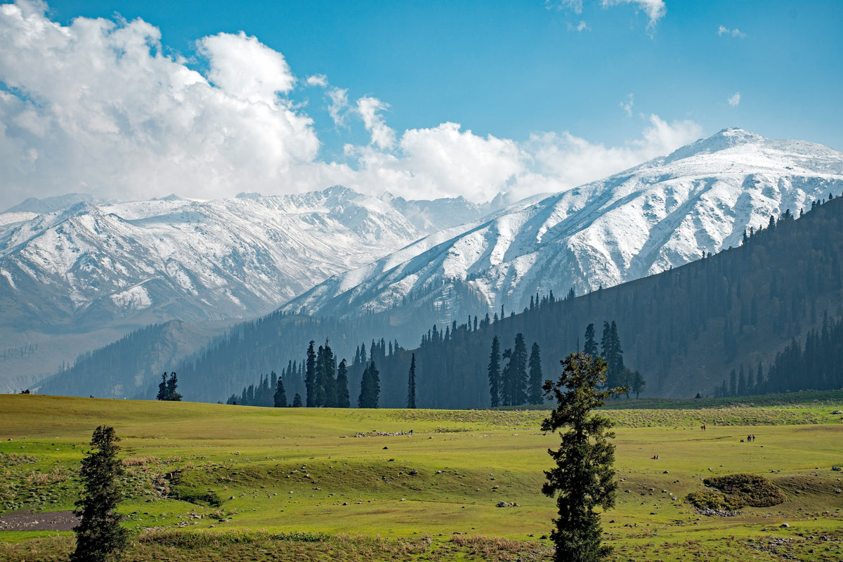 The Ultimate 7-Day Kashmir Itinerary: Srinagar, Gulmarg, Sonmarg, and Pahalgam